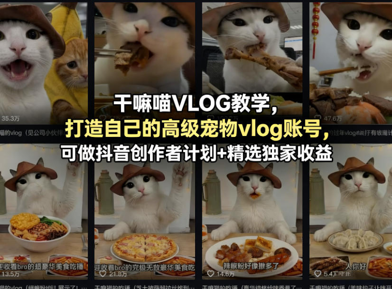 干嘛喵VLOG教学，打造自己的高级宠物vlog账号，可做抖音创作者计划+精选独家收益-星辰轻创网
