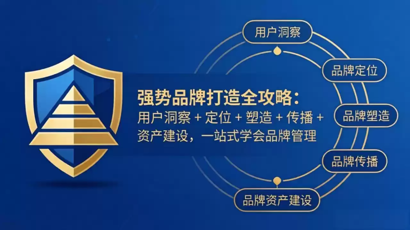 强势品牌打造全攻略：用户洞察 + 定位 + 塑造 + 传播 + 资产建设，一站式学会品牌管理-星辰轻创网