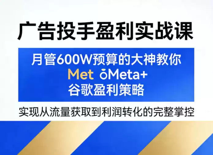 广告投手盈利实战课，月管600W预算的大神教你Meta+谷歌盈利策略，实现从流量获取到利润转化的完整掌控-星辰轻创网