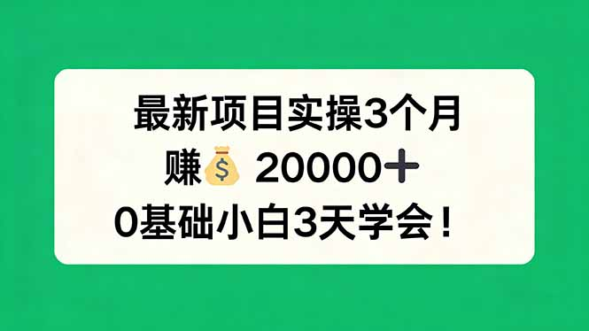最新项目实操3个月，赚钱20000+，0基础小白3天学会！-星辰轻创网